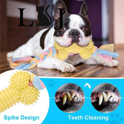 Molar Clean Teeth  Chew Toys - Devya's Pet Emporium