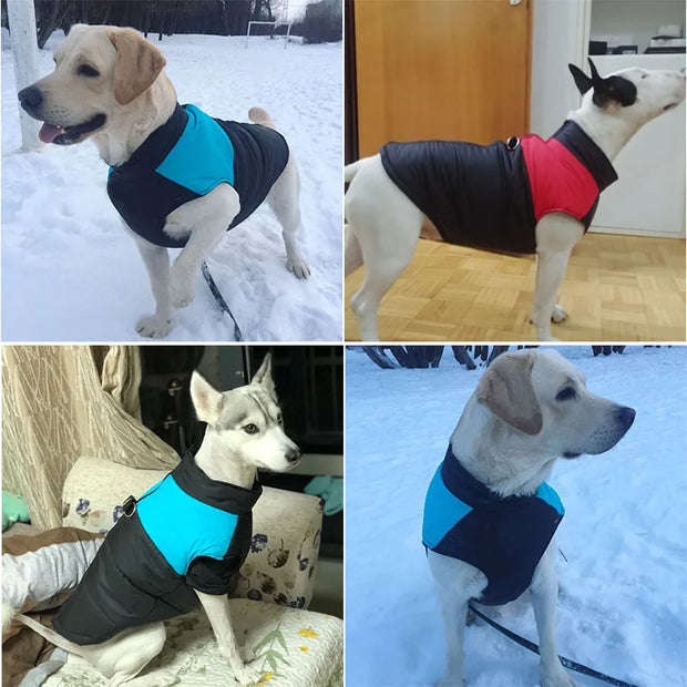 Waterproof Winter Dog Clothes - Devya's Pet Emporium