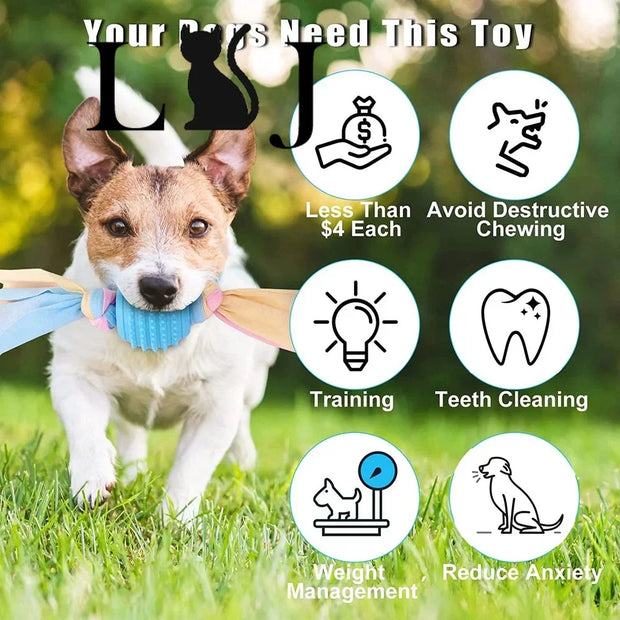 Molar Clean Teeth  Chew Toys - Devya's Pet Emporium